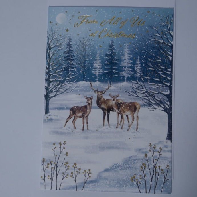 Christmas Greeting Card- From All of Us