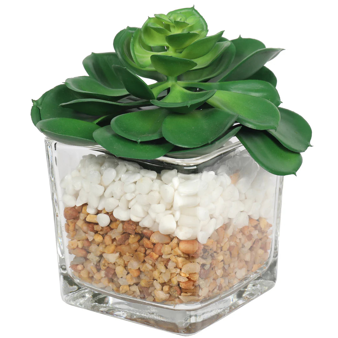 Artificial Succulent Plant in Glass Pot