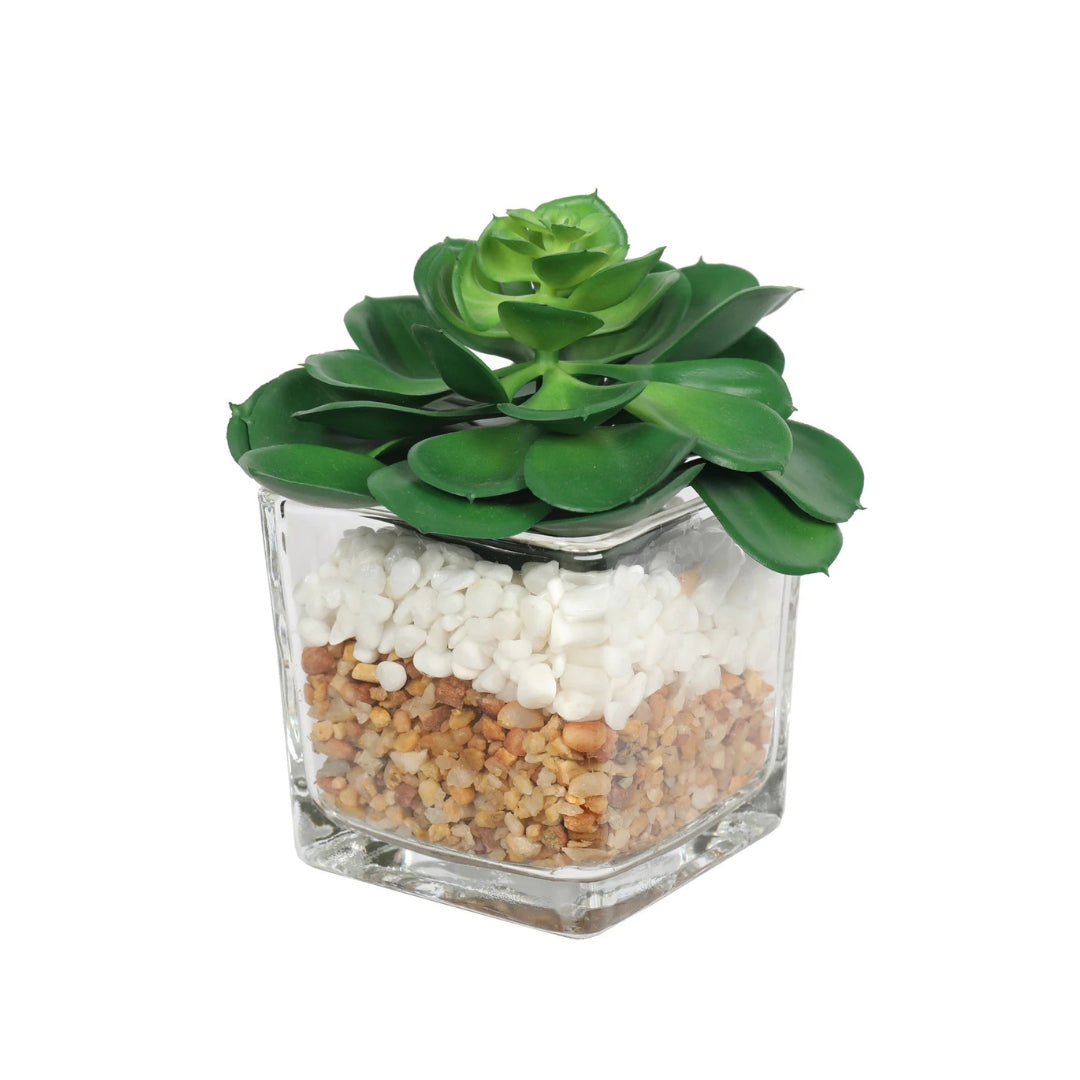 Artificial Succulent Plant in Glass Pot