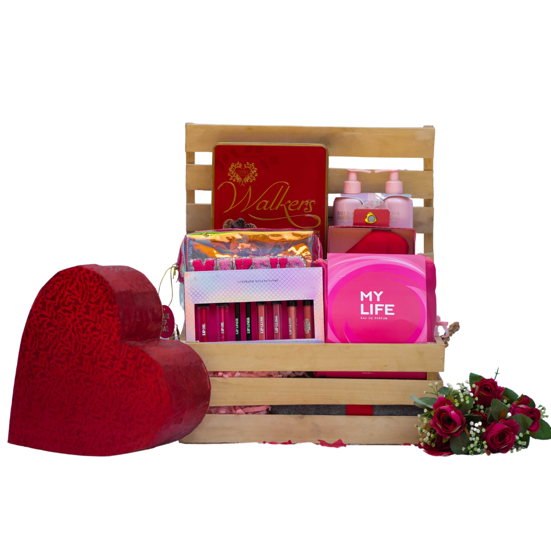 The Safe Haven Bundle