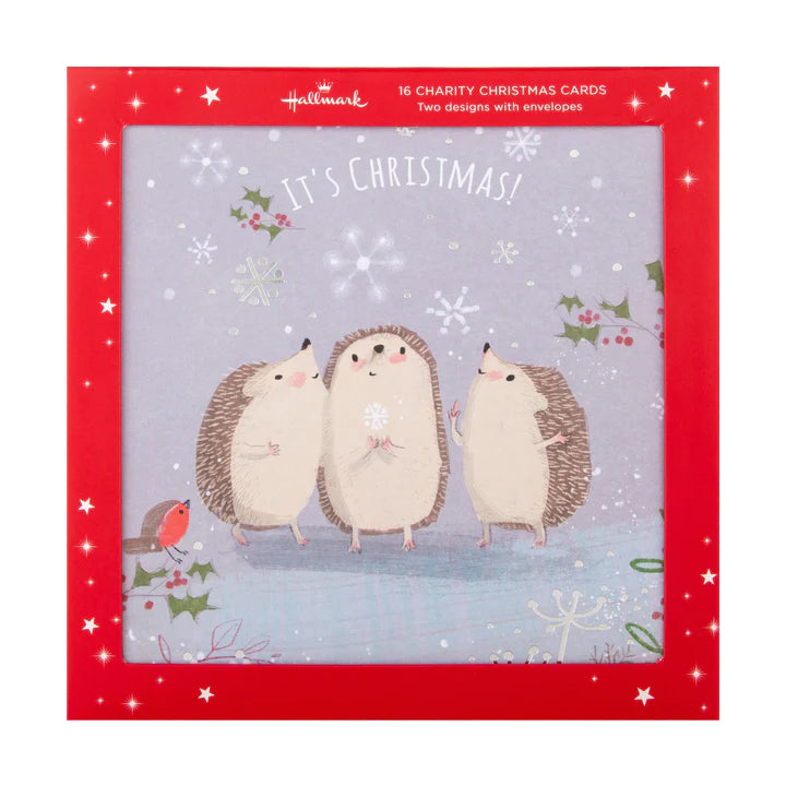 Charity Christmas Cards - Pack of 16 in 1 Hedgehog Design
