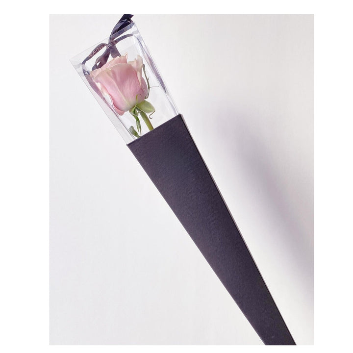 Single Stem Soap Rose in Acetate Tube- 40cm