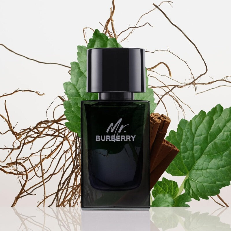 Mr. Burberry Eau de Parfum for Men (100ml)