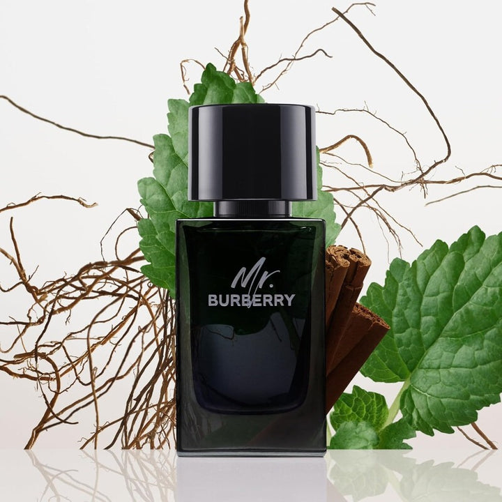 Mr. Burberry Eau de Parfum for Men (100ml)