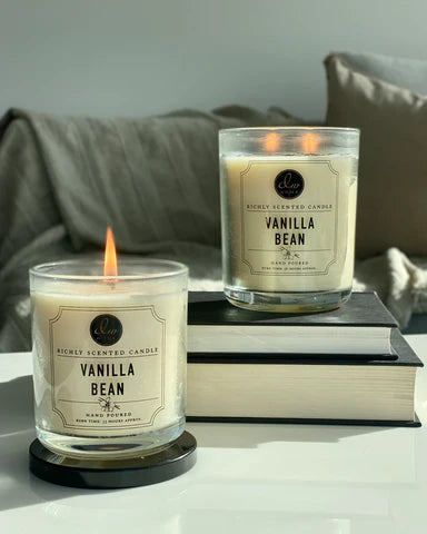 DW Home Vanilla Bean Scented Candle- 425g